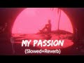 Akcentmy passion official song slowedreverb  lofi songs  slowly duniya channel