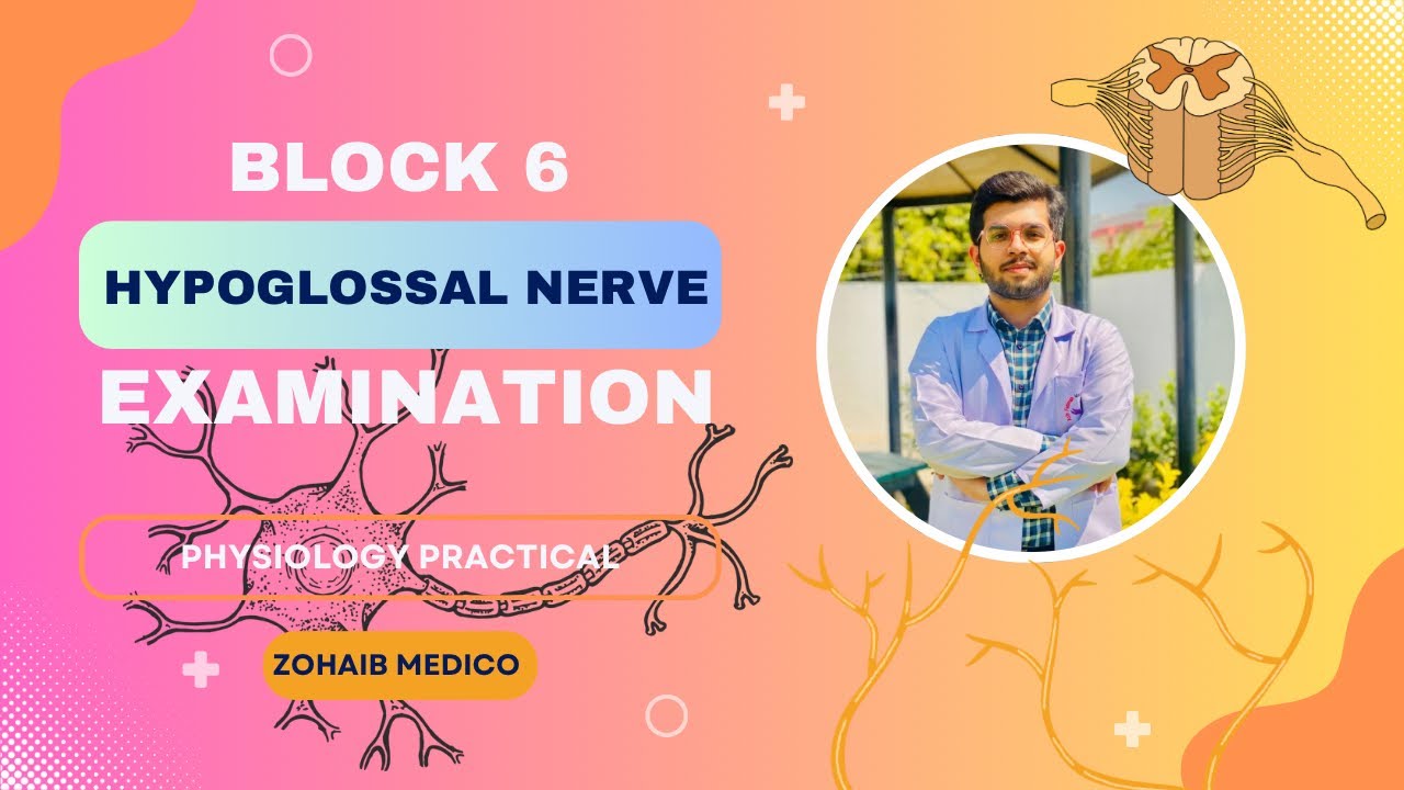 Hypoglossal nerve Examination | CN XII | Physiology practical OSPE | Block 6 