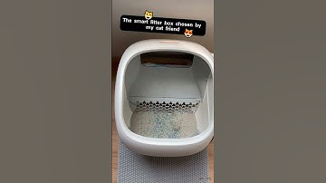 Large Space! Easy life! Meowant Self Cleaning Cat litter box.#meowant #pet #CatLitterBox #cat