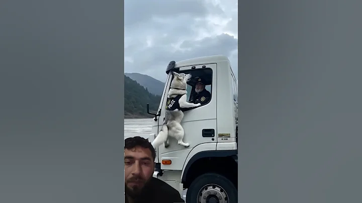 "Animal warning To humans before danger" #animals #dog #rescue #aishorts