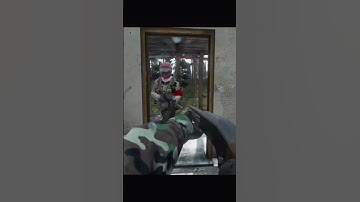 Thats the fun part #gaming #dayzgamers #dayzgameplay #dayz #dayzmod #memes #funny #rust #games