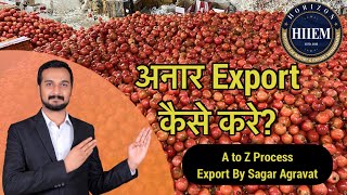 How to Export Pomegranate | Anar Export | On Field and Practical Export By Sagar Agravat