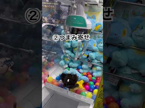 ポケモンぬいぐるみ攻略！！　#shorts #クレーンゲーム #ufoキャッチャー #ゲームセンター #arcade  #pokemon #ポケモン