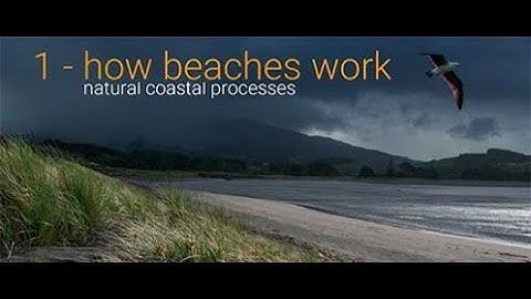 Our Coast 1 - How Beaches Work