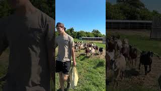 Carson Carels, The Goat Whisperer 🐐🏒