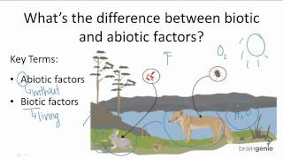 what are some biotic components of an ecosystem