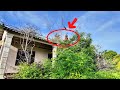 Cleaning Up Dead Trees on an Abandoned House – Unpredictable Danger!