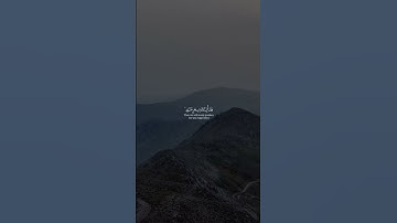 سورة طه | ولقد أريناه اياتنا كلها فكذب وابى #محمد_ايوب #سورة_طه #قران #تلاوة_خاشعة #تلاوة #اذكار