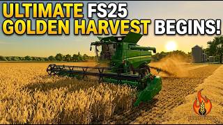 Harvesting our fields #fs25 #farmingsimulator25