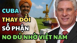 Cuba Thay Đổi Số Phận : Từ Khủng Hoảng Lương Thực Đến No Đủ Nhờ Việt Nam!