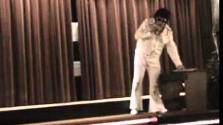 Alan Bull - Elvis - Teversal Grange