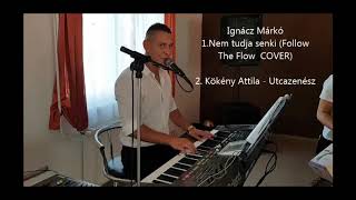 Video thumbnail of "Ignácz Márkó - Nem tudja senki 2019 ( Follow The Flow mulatós cover)"