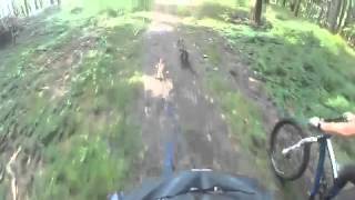 Biking with Podengos by Janine Metzler 576 views 11 years ago 50 seconds