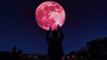 Primordial - To be continued... (4k)