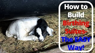 How to Build Birthing Suites  The Easy Way!