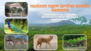 Yashwantrao Chavan Sagareshwar Wildlife Sanctuary | यशवंतराव चव्हाण  सागरेश्वर वन्यजीव अभयारण्य