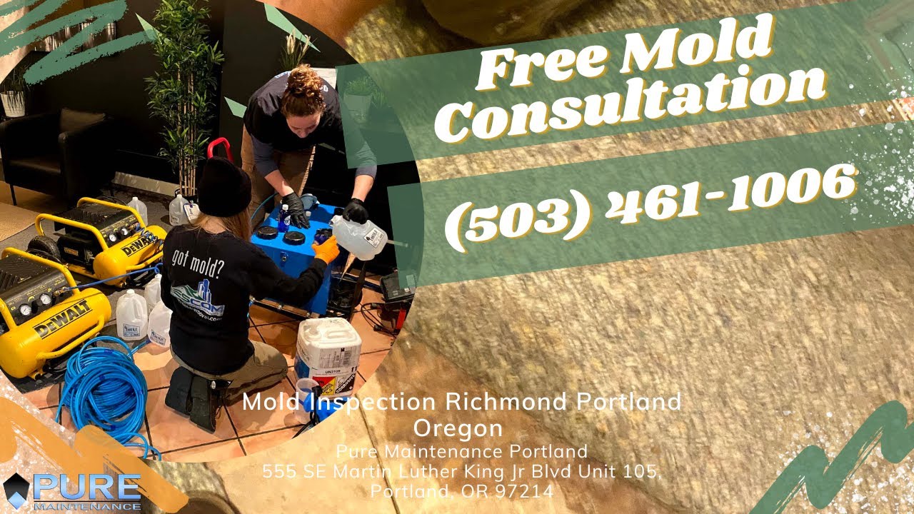 Mold Inspection Richmond Portland Oregon - Pure Maintenance Portland - 503-461-1006