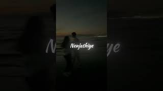 Nenjathiye Nenjathiye Song Lyrical Whatsapp Status