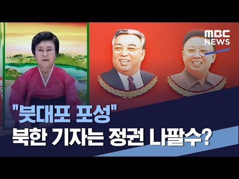 "붓대포 포성" 북한 기자는 정권 나팔수? (2023.04.08/통일전망대/MBC)