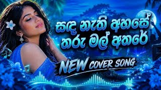Sada Nathi Ahase Tharu Mal Athare | සඳ නැති අහසේ තරු මල් අතරේ__Tik Tok Viral__New Sinhala Song 2026
