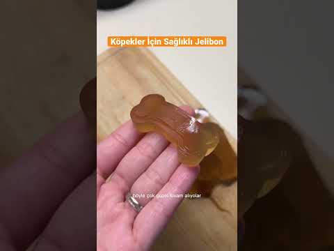 Video: Sebzelerinizi yiyin Köpek Treat Tarif