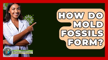 How Do Mold Fossils Form? - Earth Science Answers
