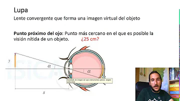 ¿Quién usa la lupa?