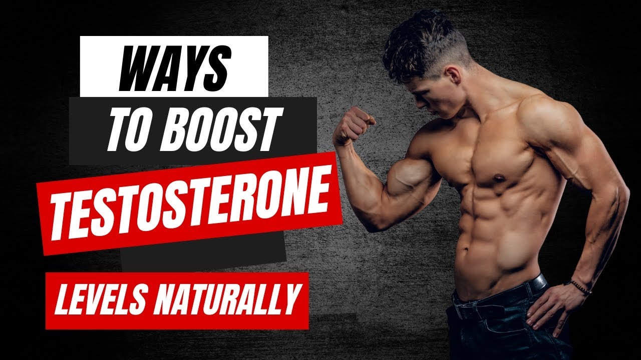 Supplements That Increase Testosterone