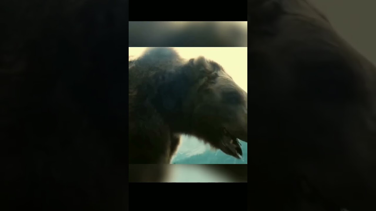 Fear of bear spray 😱 ! 