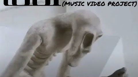 TOOL - Forty Six & 2 (MUSIC VIDEO PROJECT)