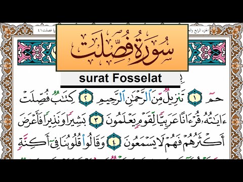 سورة فصلت جمال شاكر عبد الله     برواية حفص عن عاصم