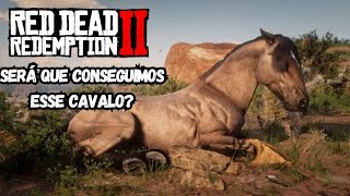 VIDA NO RANCHO - EM BUSCA DO MUSTANG TIGRADO - Red Dead Redemption II