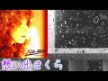 中森明菜【フォーク・ソング〜歌姫抒情歌】聴き比べ『想い出まくら』小坂恭子カバー曲(アルバム編)