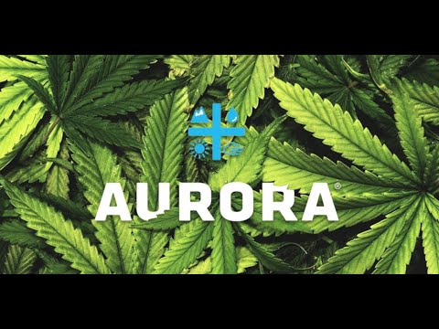 Aurora Cannabis (NASDAQ: $ACB) Surges 113% Over the Past Month As Slew of Legalization Fuels Growth