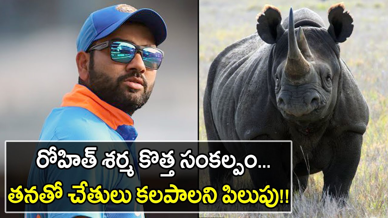 Rohit Sharma Launches Campaign To Save Rhinos In India Oneindia Telugu YouTube