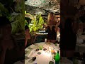 Amazonico Party With Madlen Peneva Madame GALUЁЯШЬ Monaco Shorts Luxury Luxurylifestyle Party Amazonico Party With Madlen Peneva Madame GALUЁЯШЬ Monaco Shorts Luxury Luxurylifestyle Party