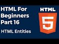 How to Use HTML Entities