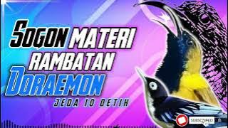 MASTERAN SOGON MATERI RAMBATAN DORAEMON!!! #sogon #sogokontong #sogongacor #sogokontonggacor