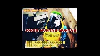 Joker sakit muntah muntah sampe lemes