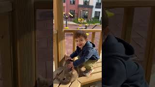 Uraz'ın kedi sevgisi 🐈🐈‍⬛ #shortvideo #karakedi