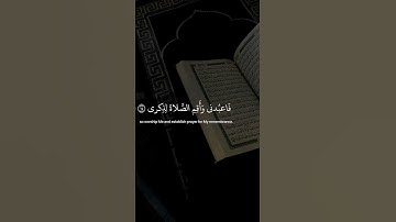 وانا اخترتك فاستمع لما يوحى ✨ || القارئ  شريف مصطفى  #قرآن  #quran