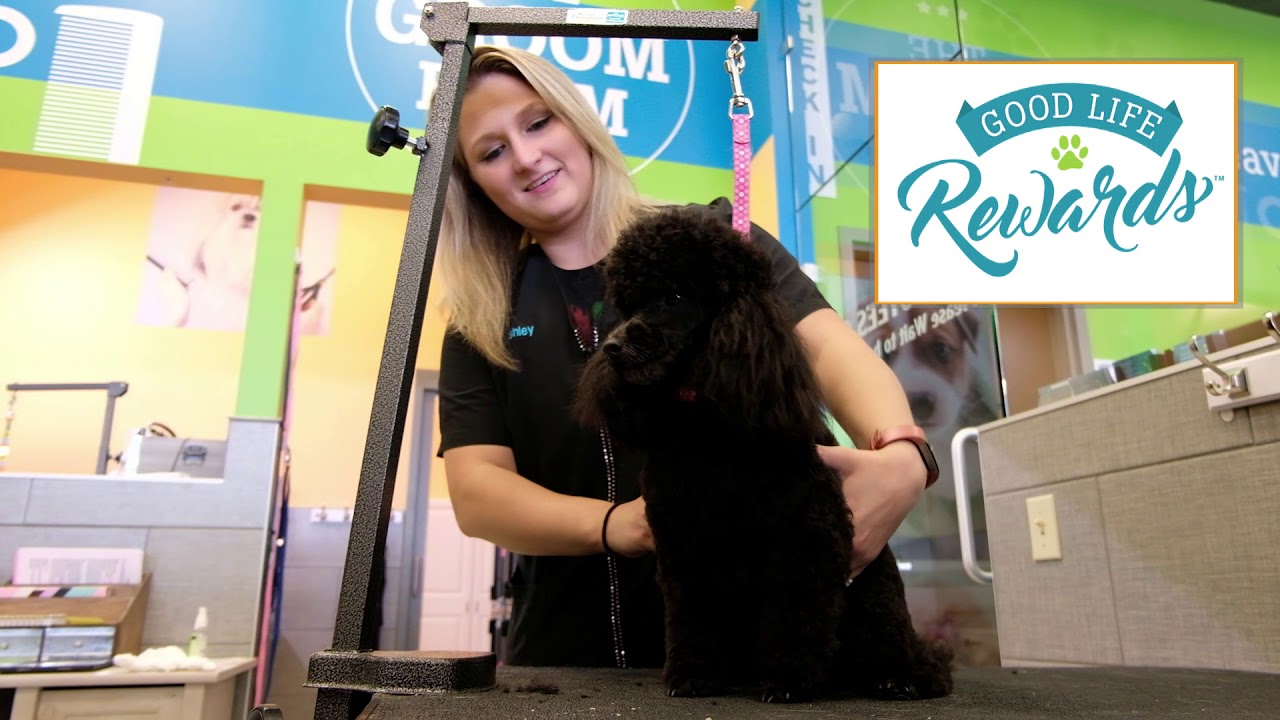 petco hours Pet Evolution - Good Life Rewards