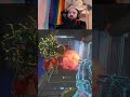 From the Void #shorts #haloinfinite