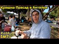 Кришнаиты в Анталье, Турция Киртан и Прасад. Ностальгия по Индии