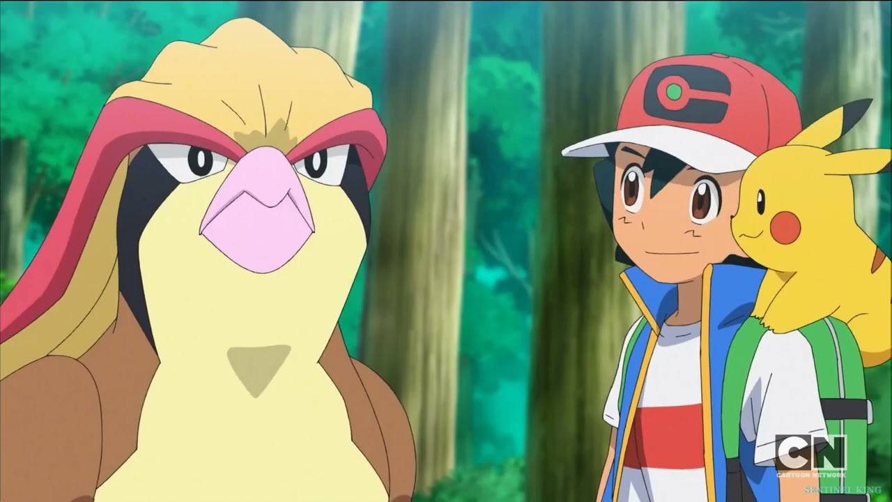 Pokemon anime fans think new protagonist is Ash and Serena's daughter -  Dexerto