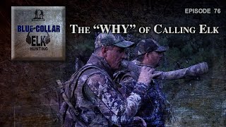The Why of Calling Elk