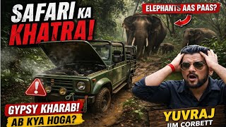 Jungle Mein Gypsy Breakdown 😱 PHATO ZONE Safari Shock! #yuvrajjimcorbett 