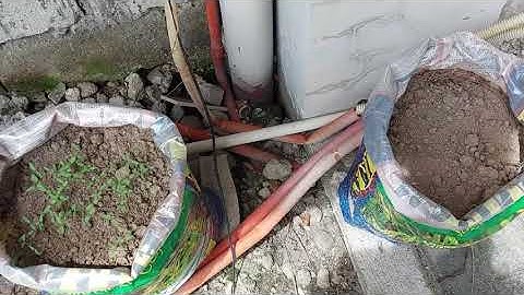 EXTEND INTERNET TO YOUR NEIGHBORS USING FIBER OPTIC AND MEDICONVERTER PLUS ROUTER