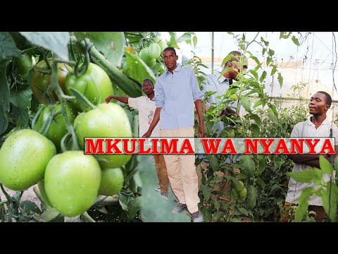 Video: Kilimo ndio njia kuu ya kulima katika kilimo