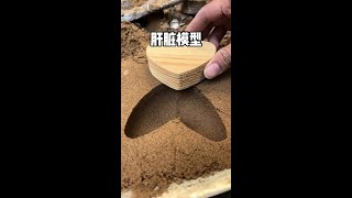 Making a liver model! #Douyin Partnership Program #Finding Partnership Players Across Douyin